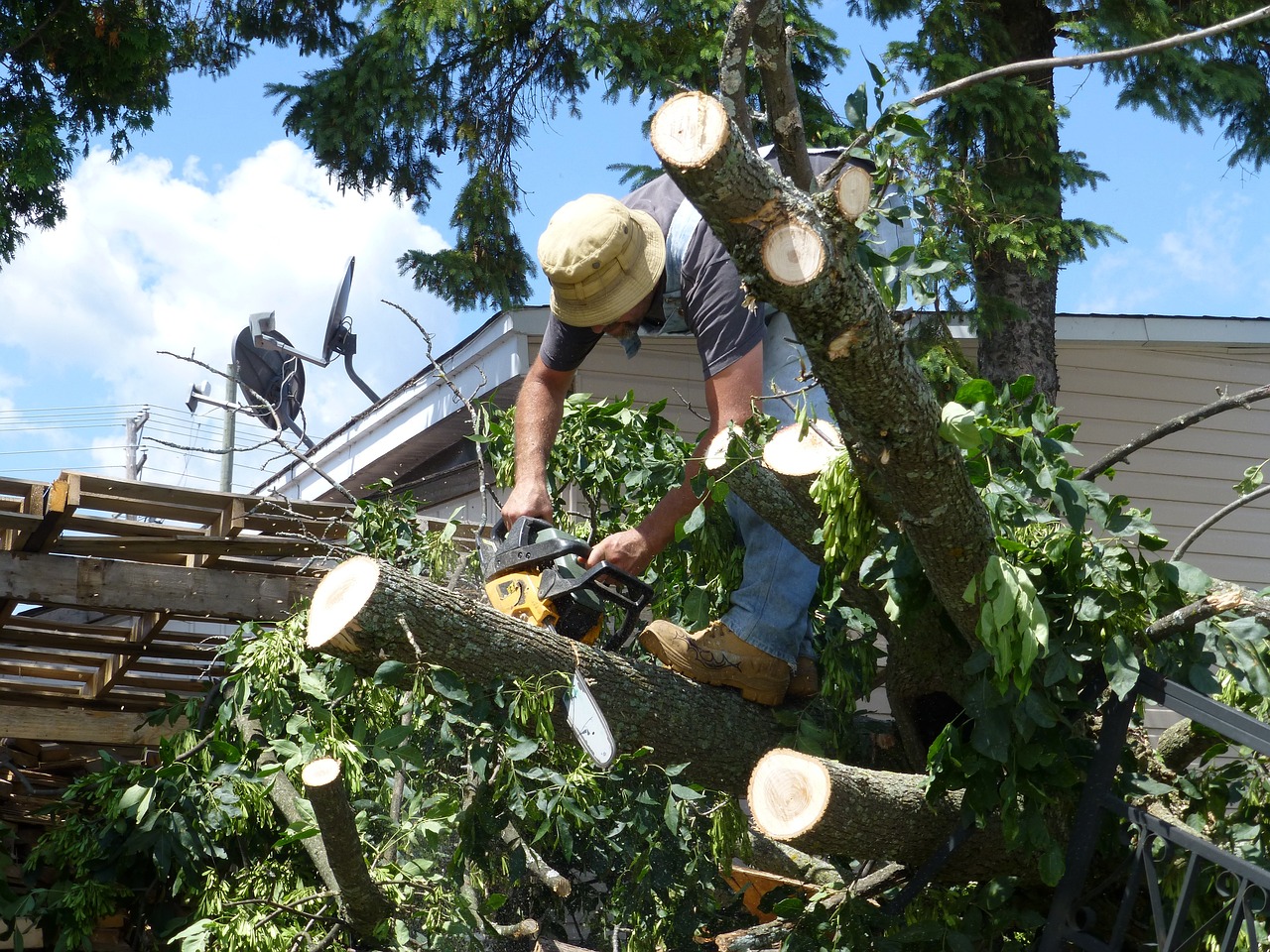 Tongaat tornado victims face theft amid recovery struggles in the big loss.